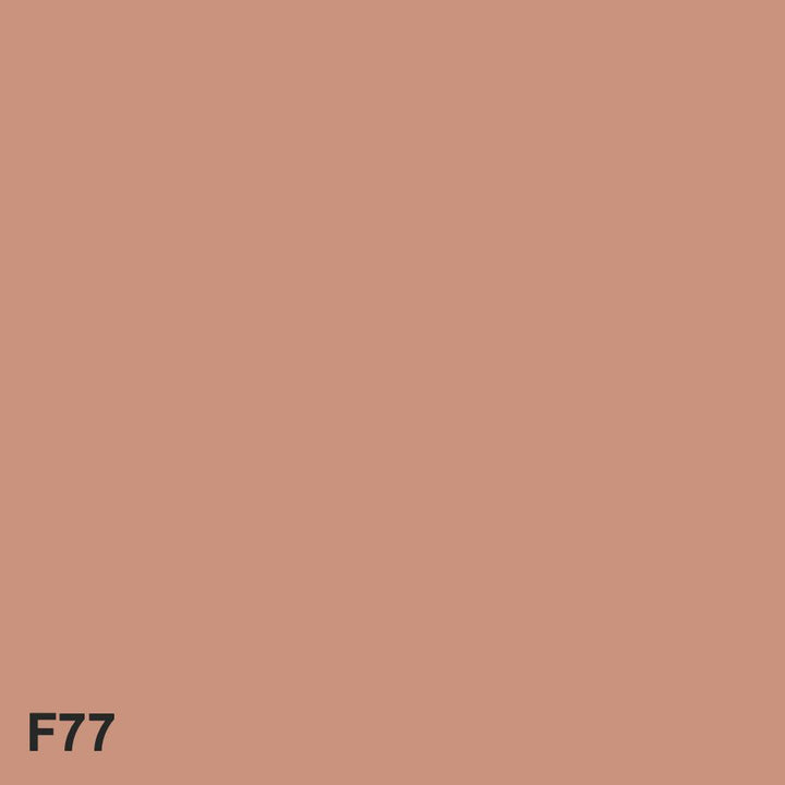F77 Fulgurite