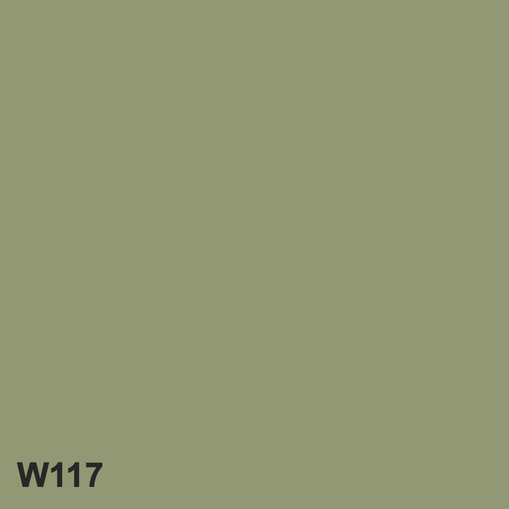 W117 Cucumber
